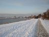 dsc09505.jpg
