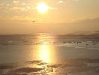 dsc09509.jpg